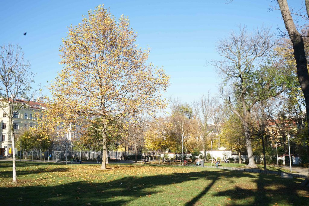 Währinger Schubertpark